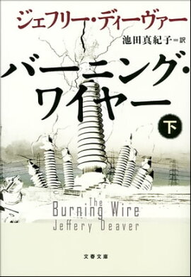 �С��˥󥰡��磻�䡼�ʲ��� 