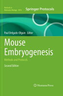 Mouse Embryogenesis