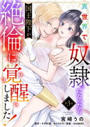 異世界で奴隷になったら国王陛下が絶倫に覚醒しました！【第3話】