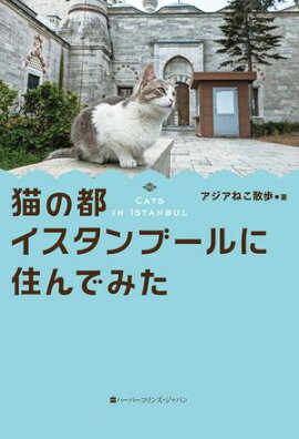 猫の都イスタンブールに住んでみた 