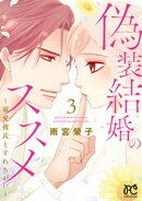 偽装結婚のススメ 〜溺愛彼氏とすれちがい〜【電子単行本】　3