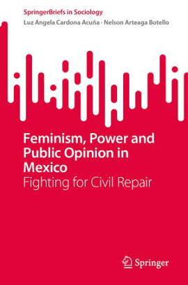 Feminism, Power and Public Opinion in Mexico Fighting for Civil Repair