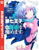 転生したら第七王子だったので、気ままに魔術を極めます（４）