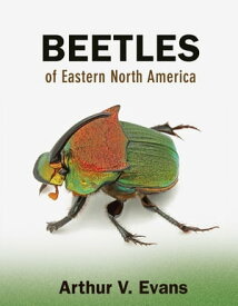 Beetles of Eastern North America【電子書籍】[ Arthur V. Evans ]