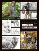 アーティストのための動物解剖学：ドローイング＆リファレンス