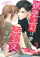 鉄壁上司は妻を溺愛で溶かしたい〜マリッジライフ・シミュレーション〜 3巻