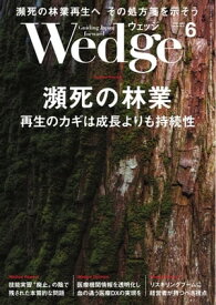 Wedge 2023年6月号【電子書籍】
