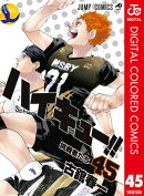 ハイキュー!! カラー版 45