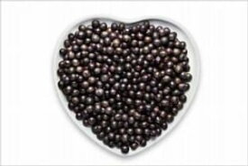 Healthy Benefits of Acai Berries【電子書籍】[ Louise Wood ]