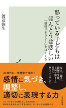 怒っている子どもはほんとうは悲しい〜「感情リテラシー」をはぐくむ〜
