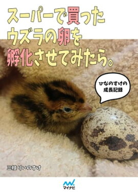 楽天kobo電子書籍ストア うずらのカフェで会いましょう 山本マサユキ