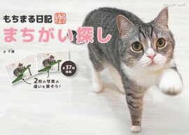 もちまる日記 まちがい探し 