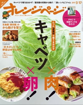 ����󥸥ڡ��� 2017ǯ 3/17�� 