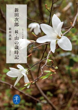 ��ޥ���ʸ�� ���ļ�Ϻ ³�����κл��� 