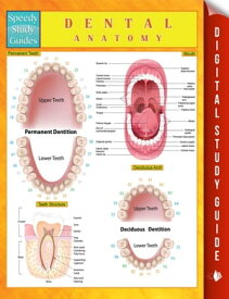 Dental Anatomy Speedy Study Guides【電子書籍】[ Speedy Publishing ]