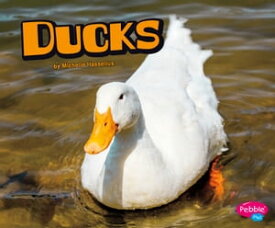 Ducks【電子書籍】[ Michelle Hasselius ]