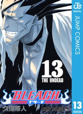 BLEACH モノクロ版 13 
