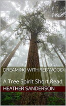 Dreaming with Redwood
