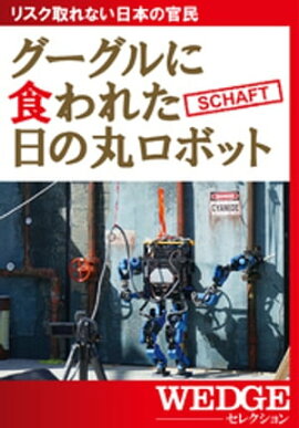 ˿줿δݥܥåȡWEDGE쥯 No.21 