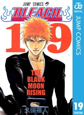 BLEACH モノクロ版 19 