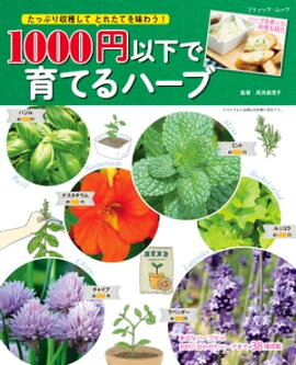 1000円以下で育てるハーブ 