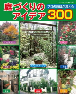 ���Ť���Υ����ǥ�300 