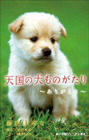 小学館ジュニア文庫　天国の犬ものがたり〜ありがとう〜【電子書籍】[ 藤咲あゆな ]
