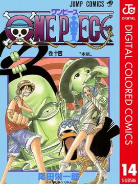 ONE PIECE カラー版 14 