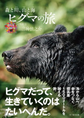 ヒグマの旅 森と川、山と海