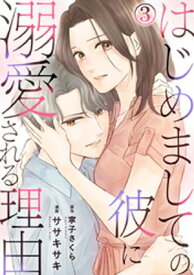 はじめましての彼に溺愛される理由 3巻【電子書籍】[ ササキサキ ]