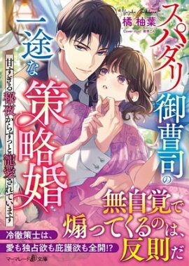 スパダリ御曹司の一途な策略婚〜甘すぎる秘夜からずっと寵愛されています〜 