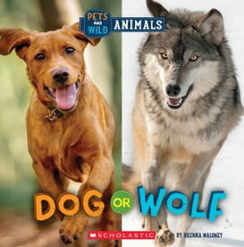 Dog or Wolf (Wild World: Pets and Wild Animals)【電子書籍】[ Brenna Maloney ]