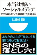 本当は怖いソーシャルメディア 2015年「メディア融合時代」を考える(小学館101新書)