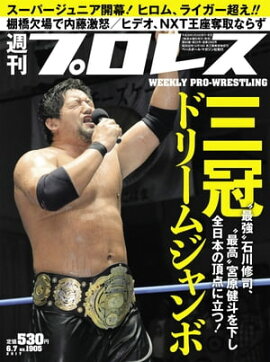 週刊プロレス 2017年 6/7号 No.1905 