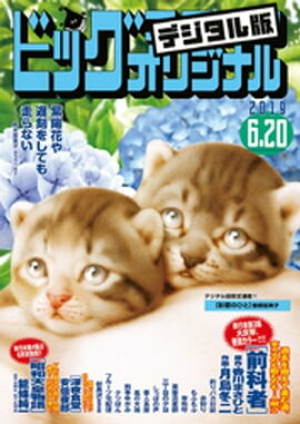 �ӥå����ߥå����ꥸ�ʥ� 2019ǯ12��(2019ǯ6��5��ȯ��) 