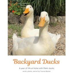 Backyard Ducks A year of life at home with Pekin ducks【電子書籍】[ Yvonne M Blacker ]