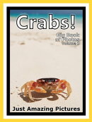 Just Crab Photos! Big Book of Photographs & Pictures of Crabs, Vol. 1