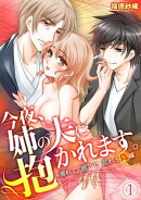 今夜、姉の夫に抱かれます。〜濡れて、感じて、乱れる偽嫁〜(1)