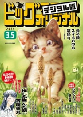 �ӥå����ߥå����ꥸ�ʥ� 2024ǯ5���2024ǯ2��20��ȯ��) 