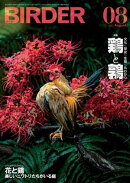 BIRDER2025年8月号