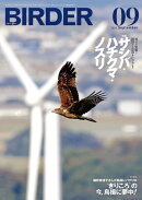 BIRDER2025年9月号