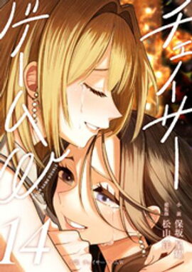 小説　チェイサーゲームW14巻 