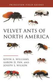 Velvet Ants of North America【電子書籍】[ Dr. Kevin Williams ]