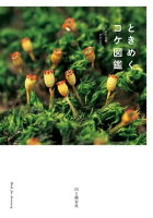 秋の山と溪谷社フェア