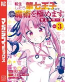 転生したら第七王子だったので、気ままに魔術を極めます　セミカラー版（３）