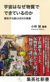 宇宙はなぜ物質でできているのか　素粒子の謎とKEKの挑戦【電子書籍】