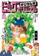 ビッグコミックオリジナル 2026年12号（2026年6月5日発売)