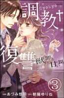 調教復讐　獣の罪と甘い罠（分冊版） 【第3話】