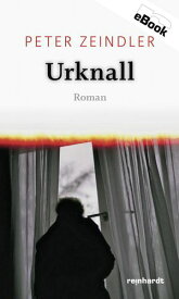 Urknall Roman【電子書籍】[ Peter Zeindler ]