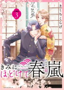 きみにほどけて春嵐　分冊版（３）
